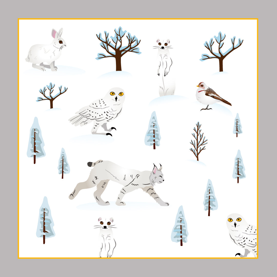 Climate Change Causes Camouflage Confusion