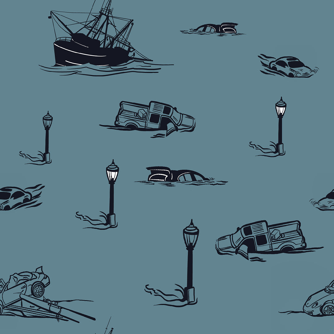 Flooding, Hurricanes, and Rising Ocean Levels, oh my