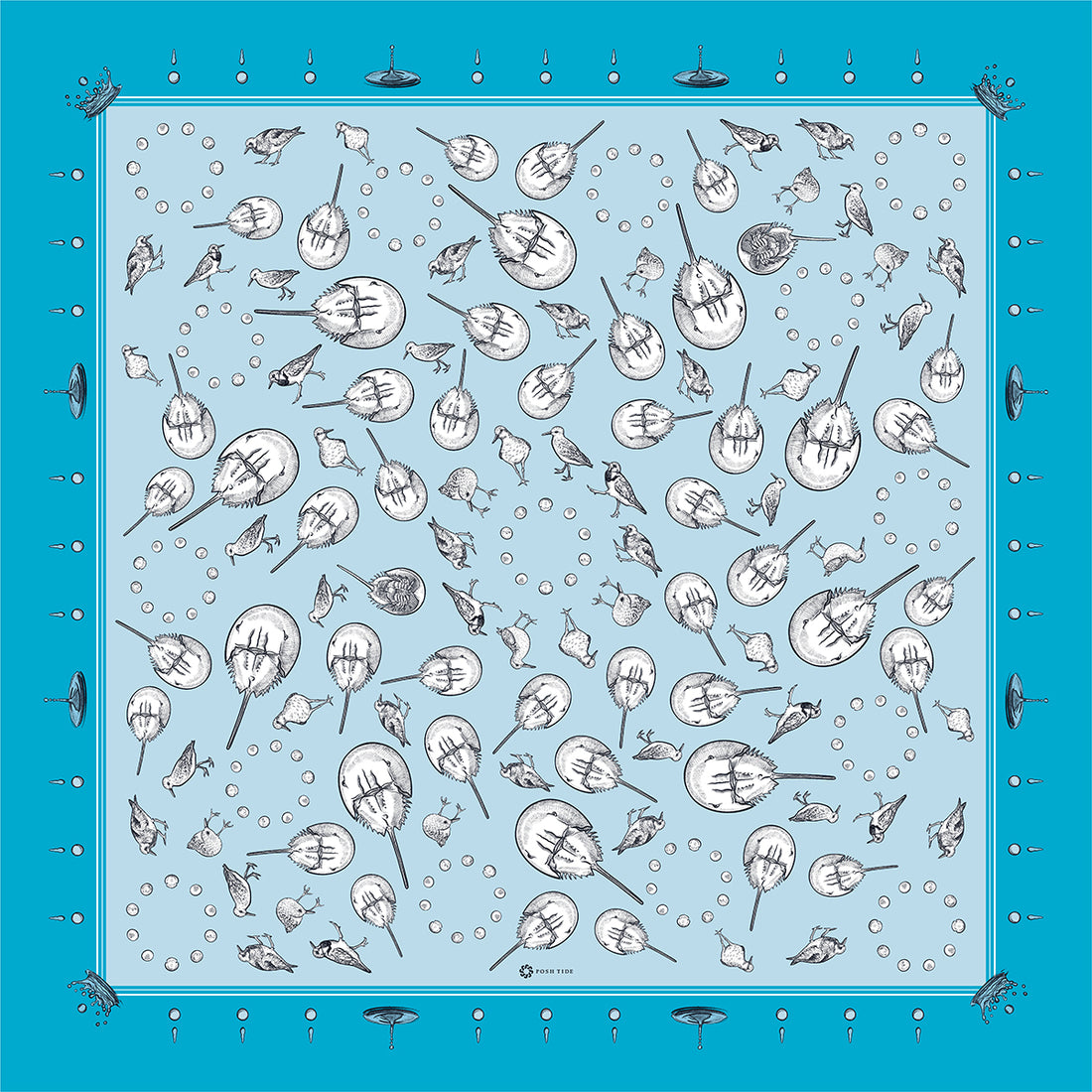 The Crucial Connection: Horseshoe Crabs and Migratory Birds