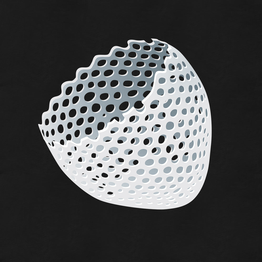 Radiolaria, The Creature that Became Earth - Posh Tide