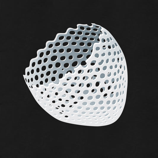 Radiolaria, The Creature that Became Earth - Posh Tide