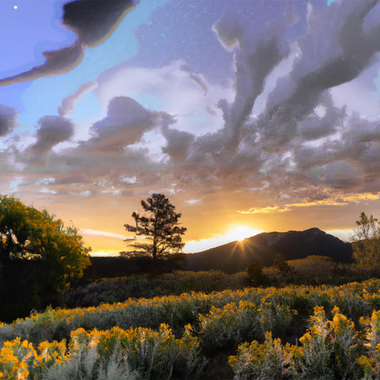 The Spring Equinox: Thank you Mr. Sun!