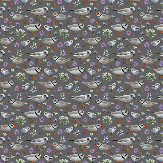 Piping Plover with Flora Tie