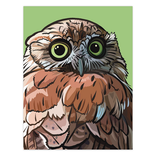 Owl Folded Cards - 5 Pack