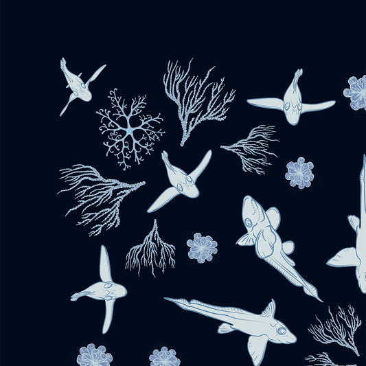 Ghost Shark Bandana