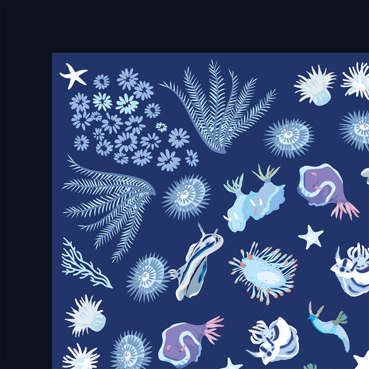Nudibranch Bandana