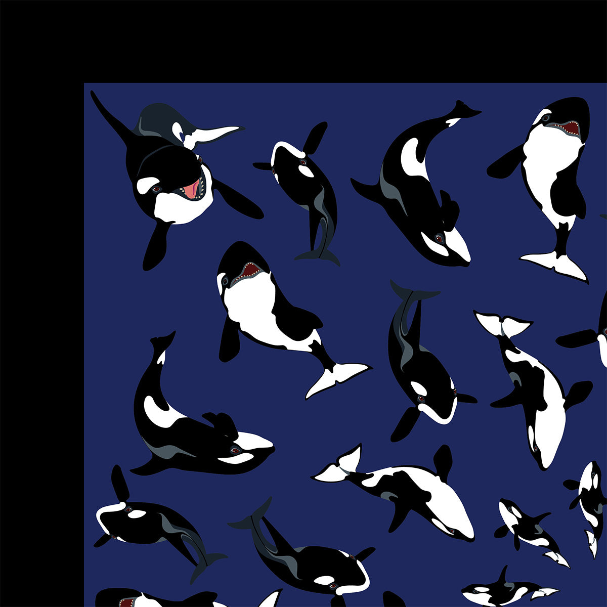 Orca Bandana