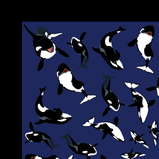 Orca Bandana