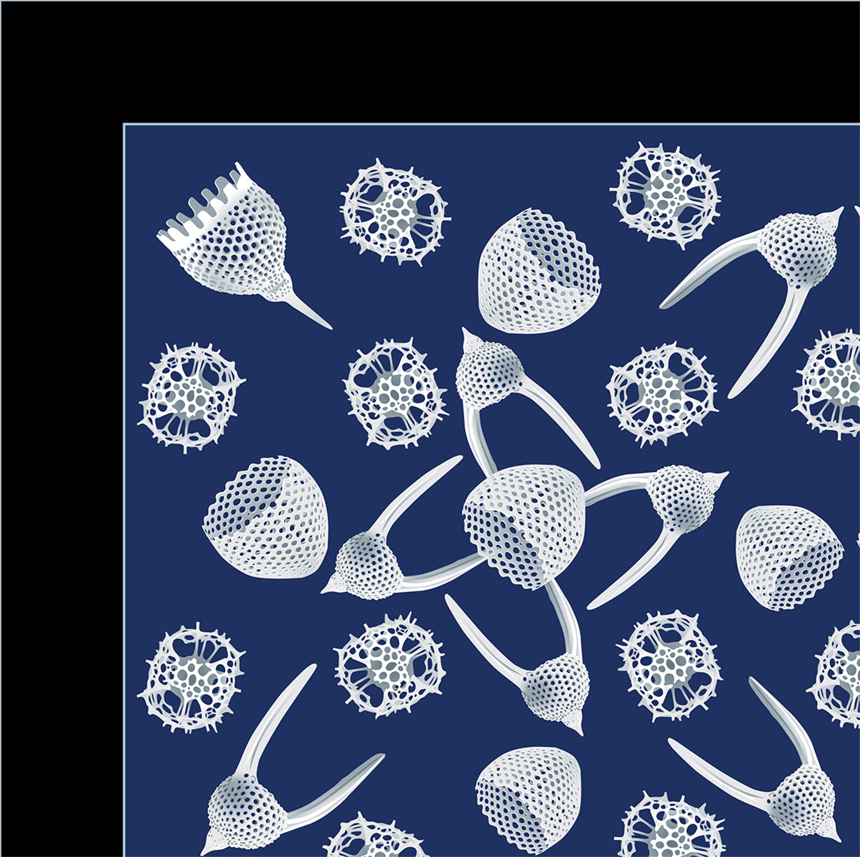 Radiolaria Bandana
