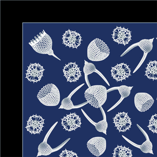 Radiolaria Bandana