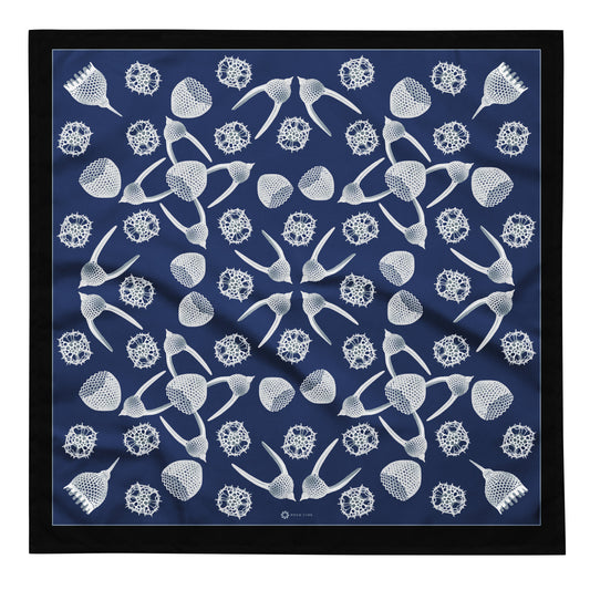 Radiolaria Bandana