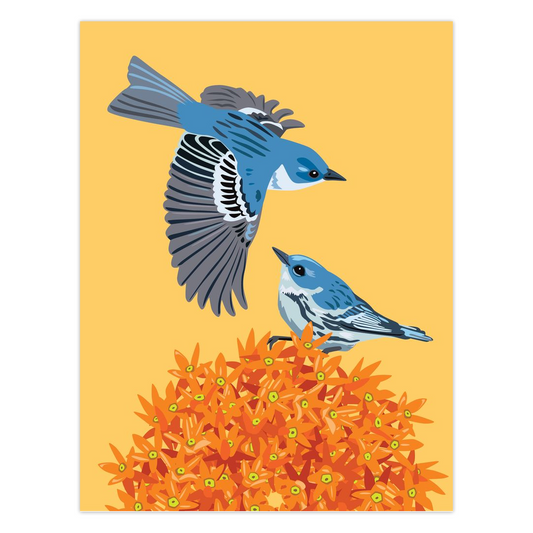 Cerulean Warbler Folded Cards - 5 Pack