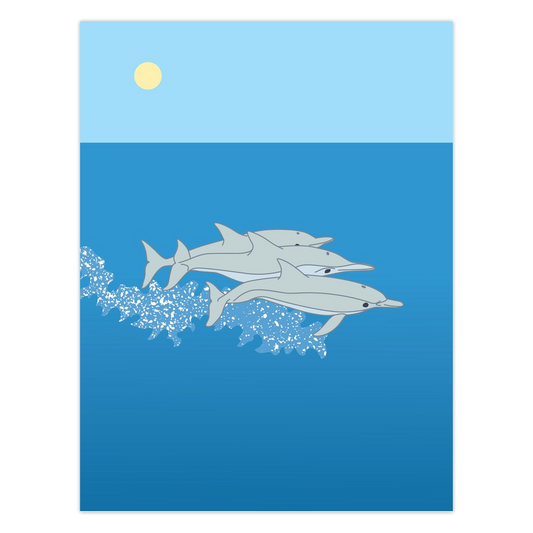 Dolphins Folded Cards - 5 Pack