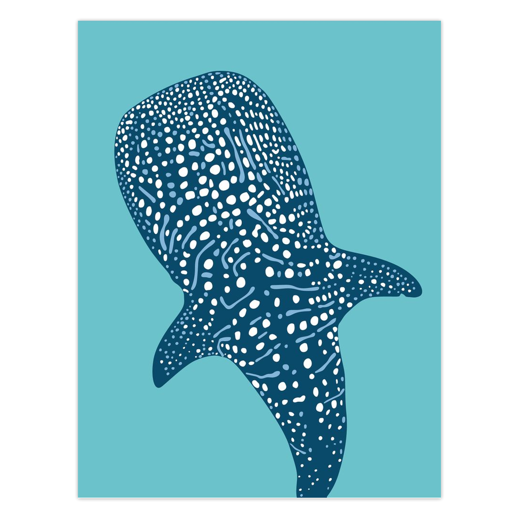 Whale Shark Folded Cards - 5 Pack