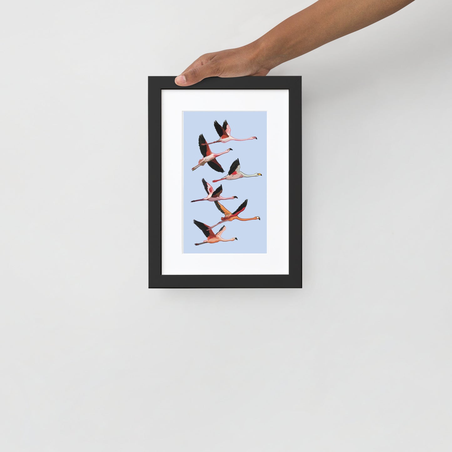 Flamingo Flight Framed Poster with Mat