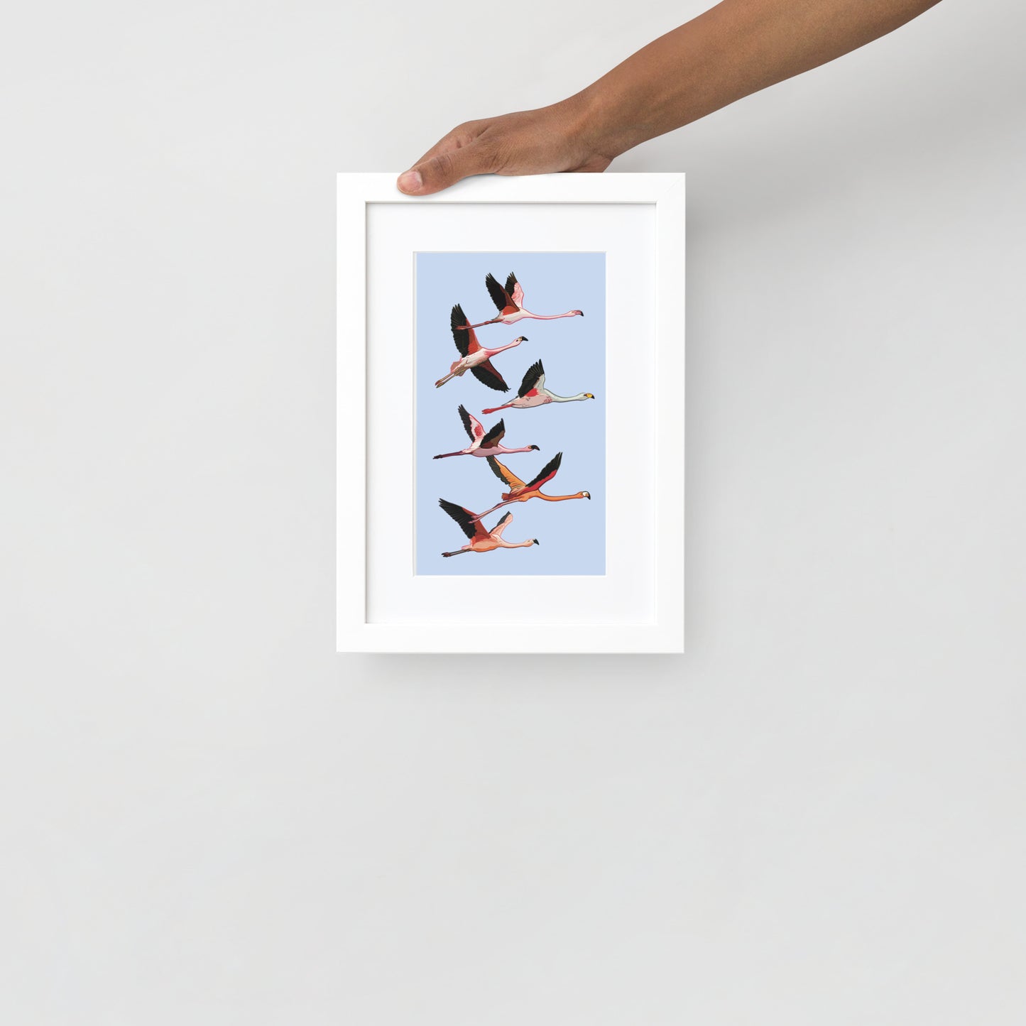 Flamingo Flight Framed Poster with Mat