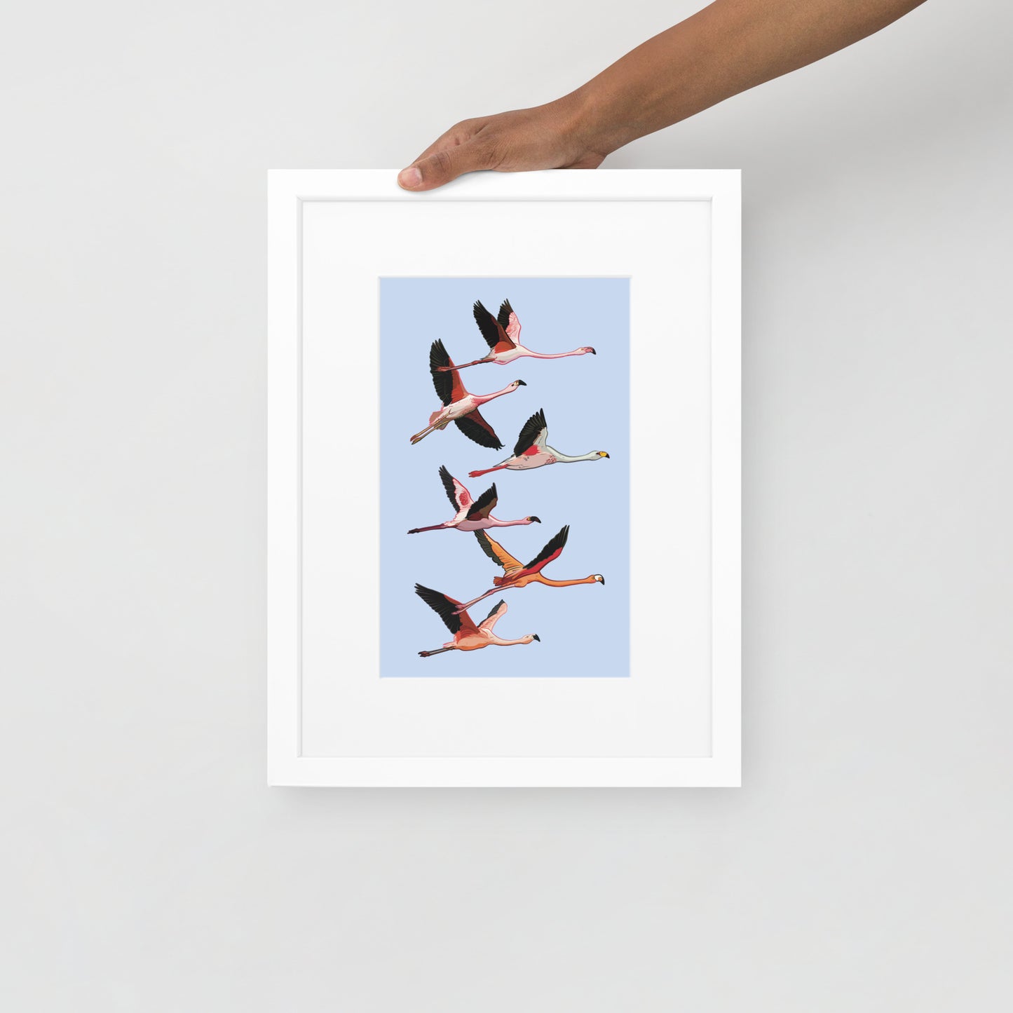 Flamingo Flight Framed Poster with Mat