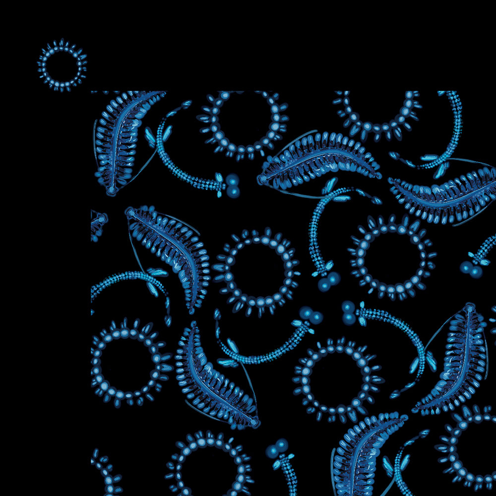 Bioluminescence Scarf