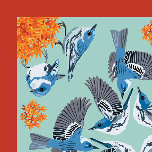 Cerulean Warbler Scarf