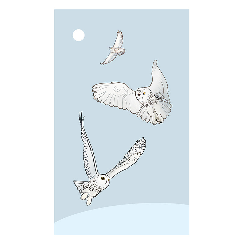 Snowy Owls Framed Poster with Mat