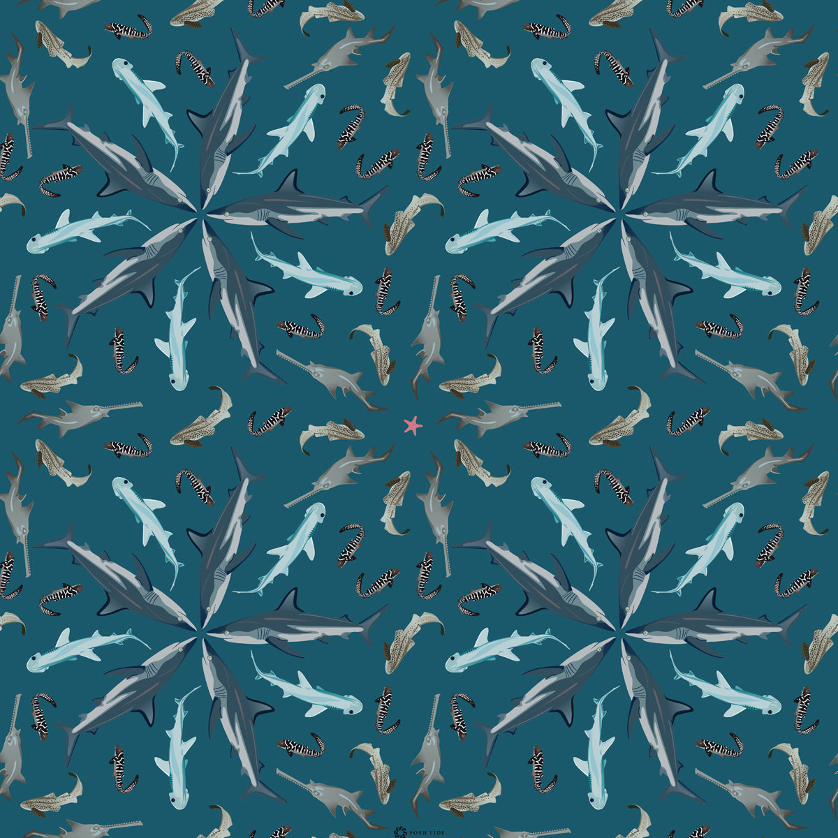 Parthenogenesis in Sea Gym Bag