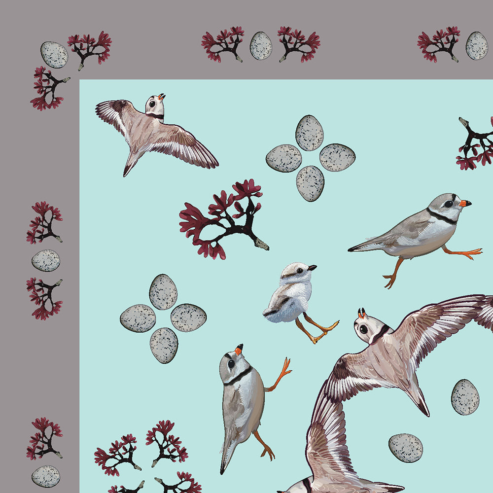 Piping Plover Scarf