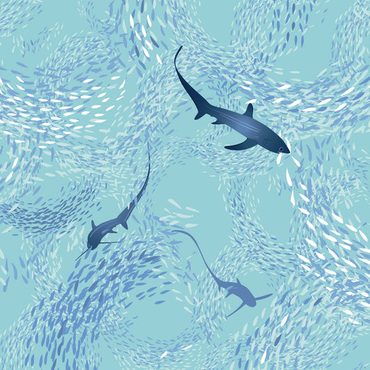Thresher Sharks Youth Rash Guard - Posh Tide