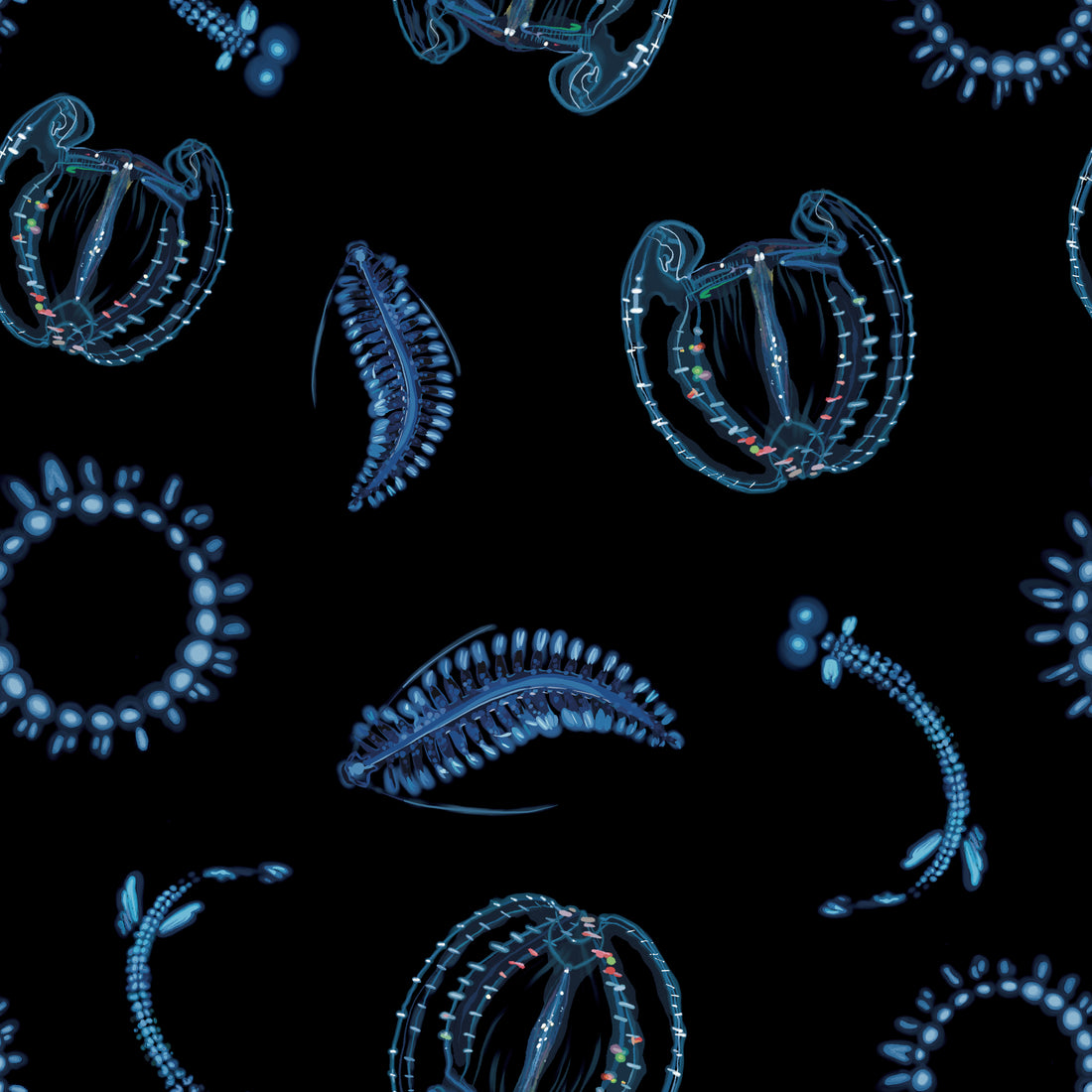 Numerous blue, glowing, bioluminescent creatures swim across a dark ocean background. Tomopteris, jellyfish and dragonfish. 