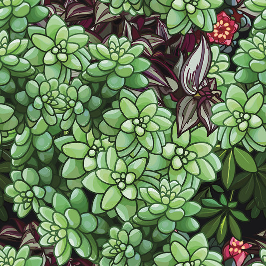 Via Verde of Mexico DF