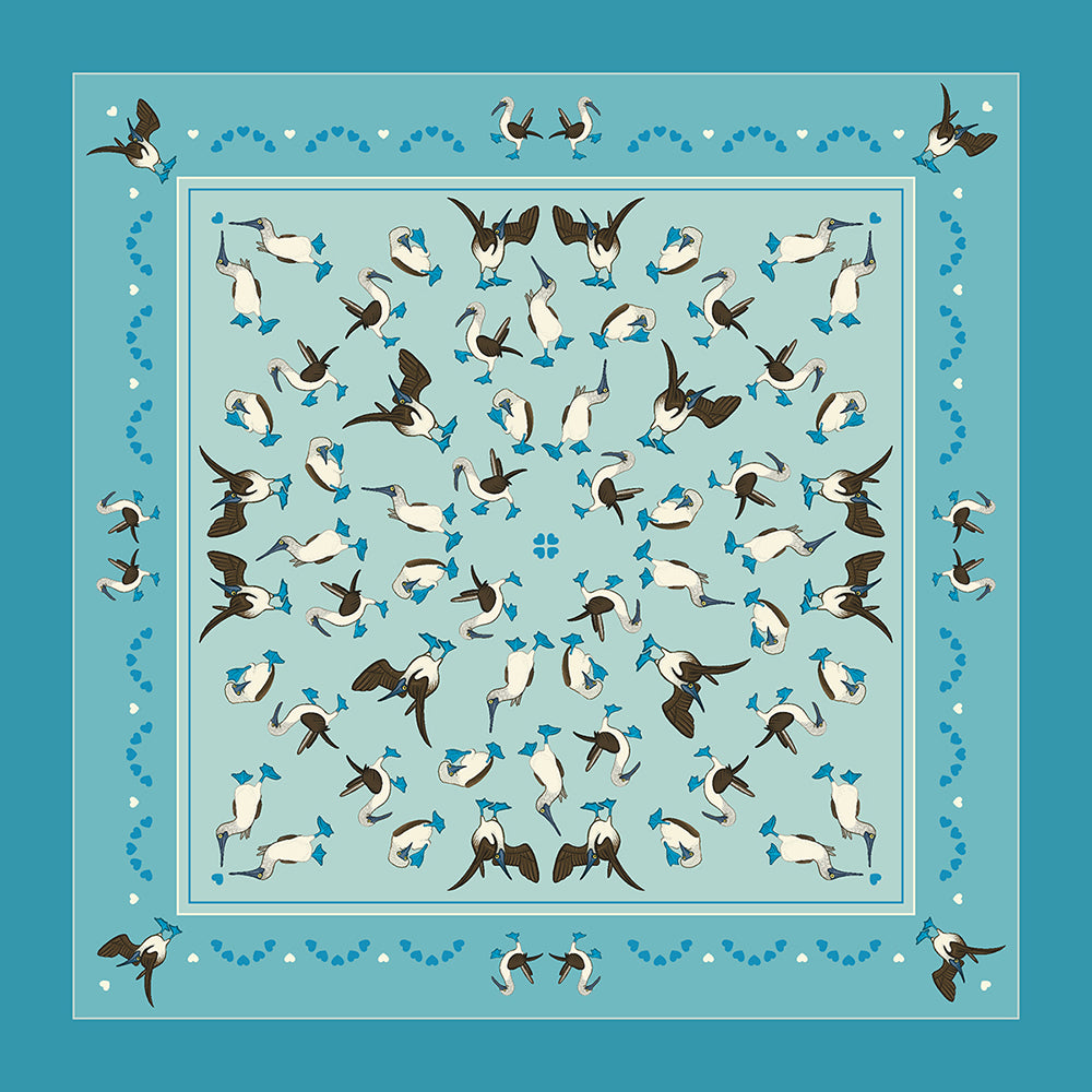 The Blue-footed Booby Collection