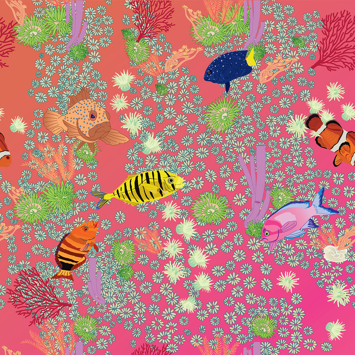 The Coral Collection - Posh Tide