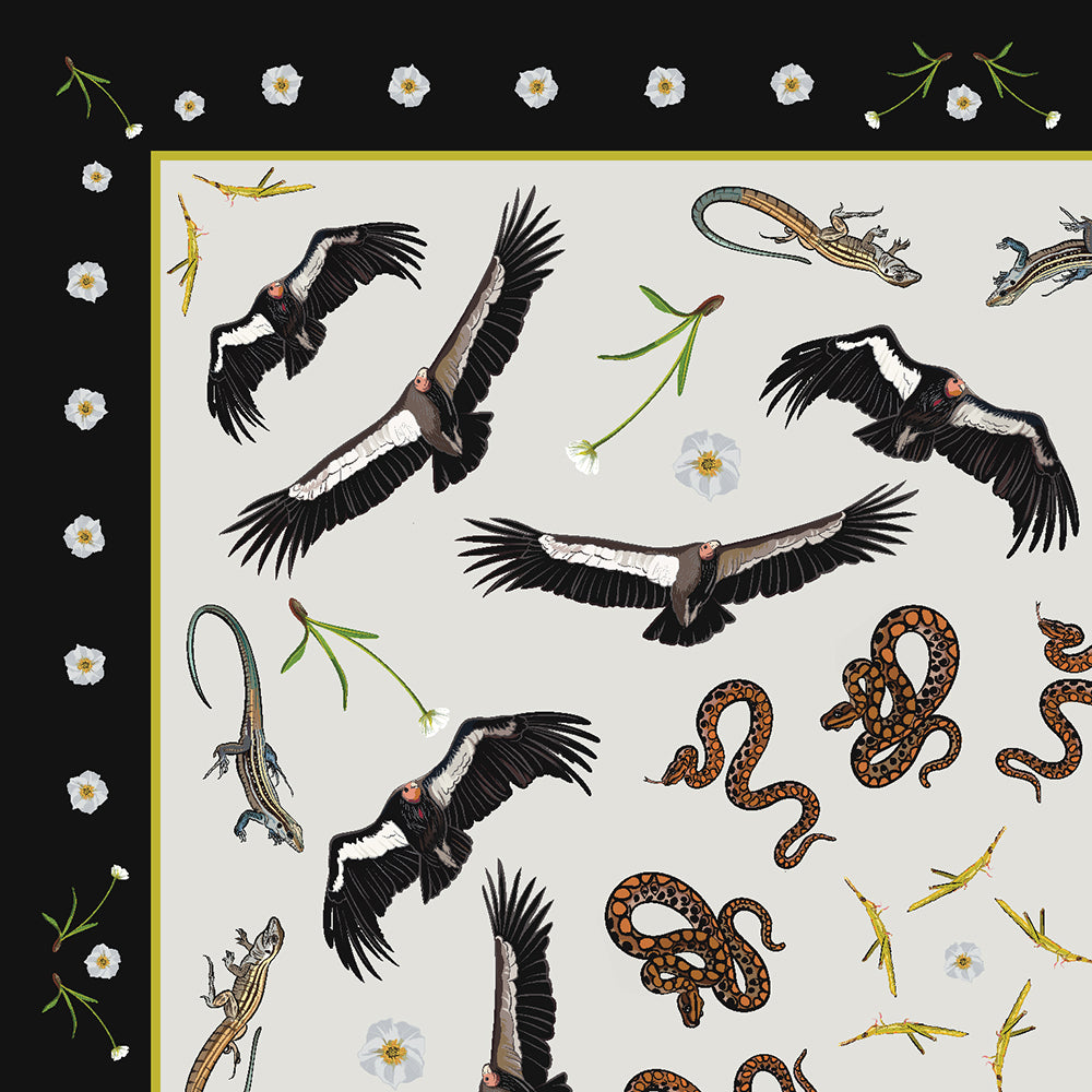 The Parthenogenesis on Land Collection
