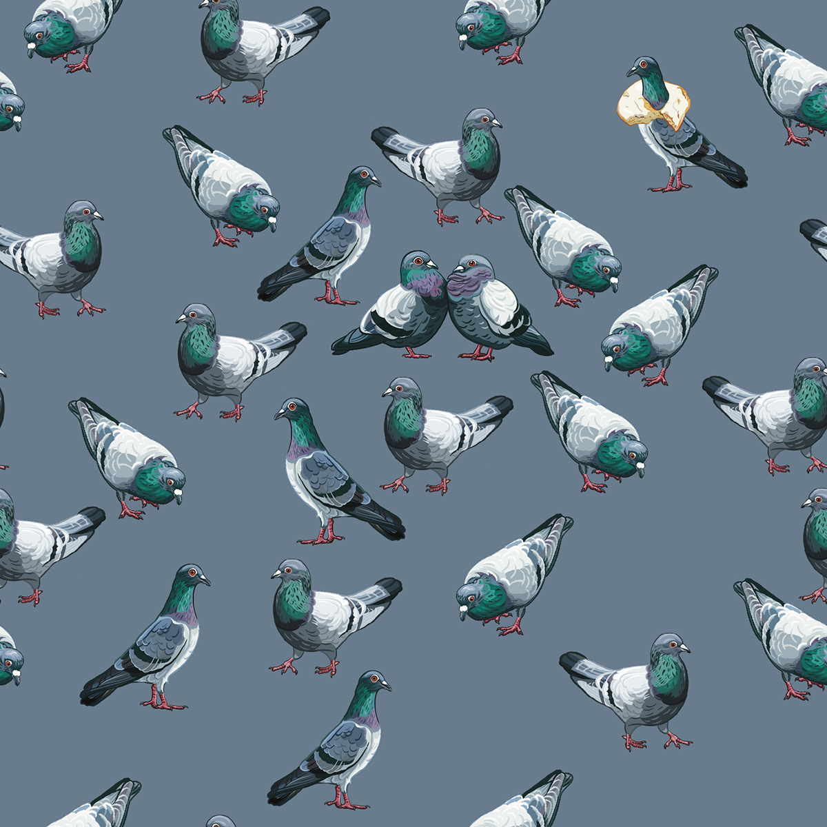 The Urban Bird Collection - Posh Tide