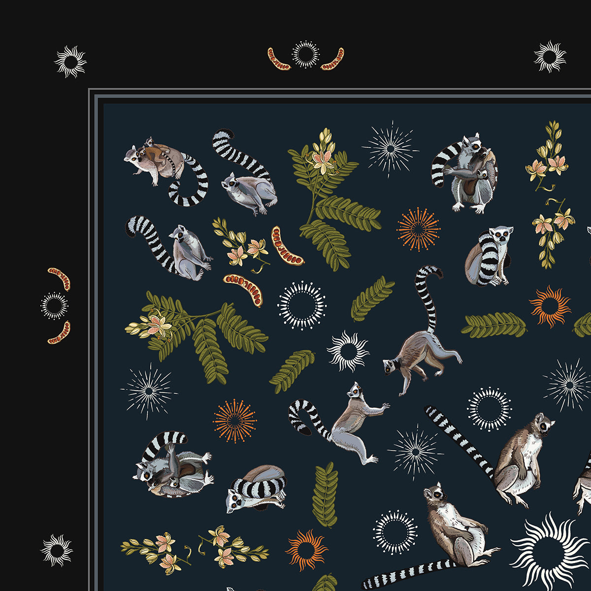 The Ring-tailed Lemur Collection