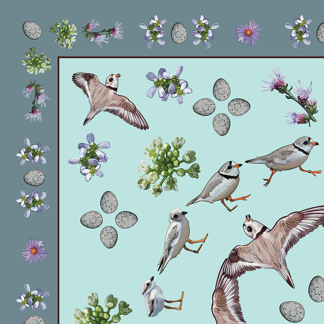 Piping Plover with Flora Double-Sided Silk Scarf