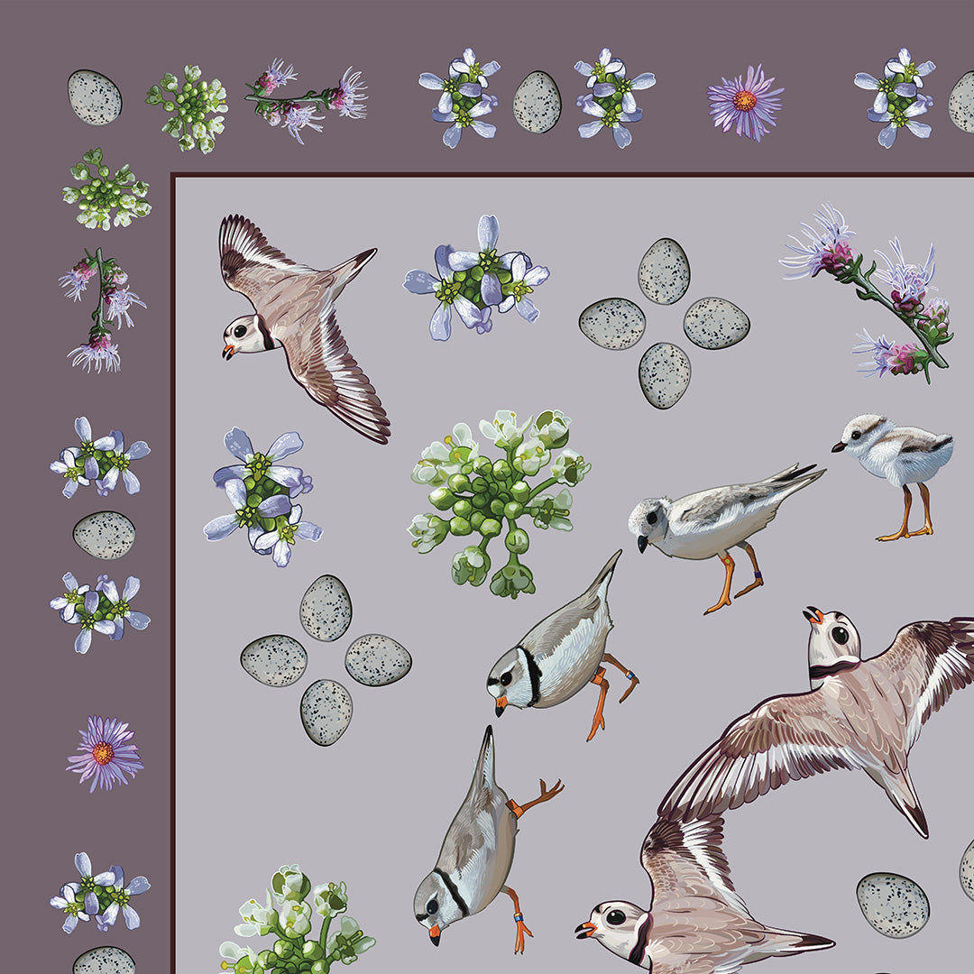 Piping Plover with Flora Double-Sided Silk Scarf