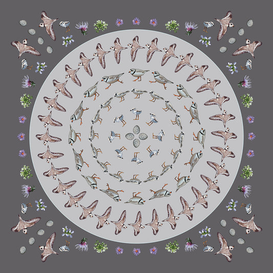 Piping Plover Dusky Tones Double-Sided Silk Scarf