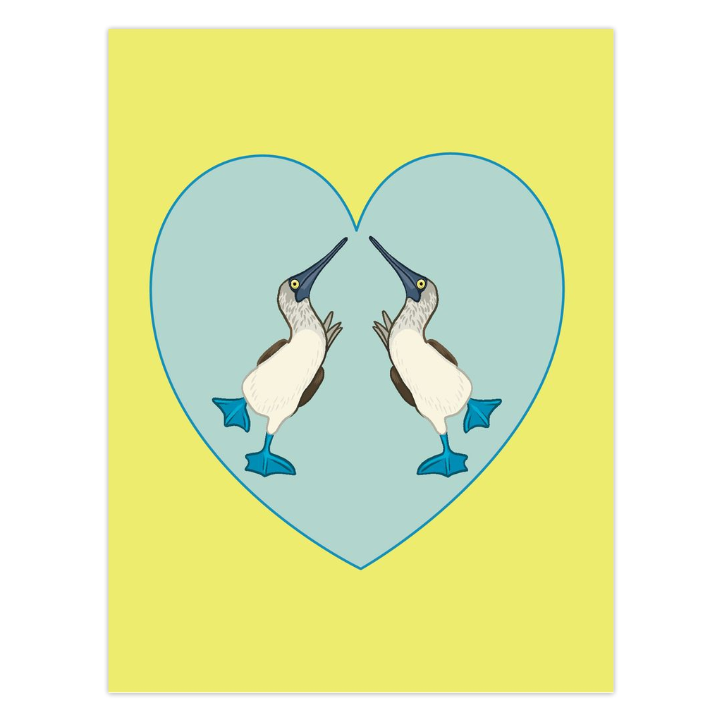 Blue-footed Booby Folded Cards - 5 Pack