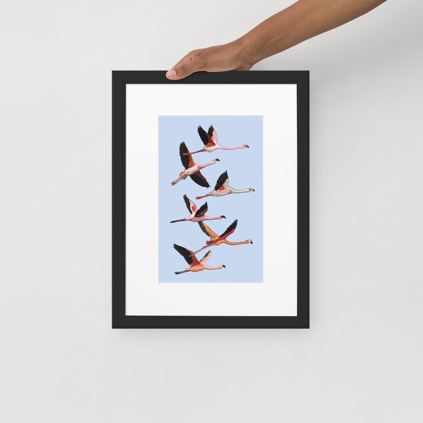 Flamingo Flight Framed Poster with Mat