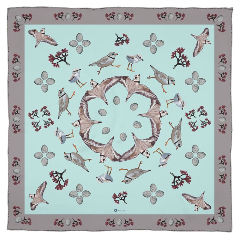 Piping Plover Scarf