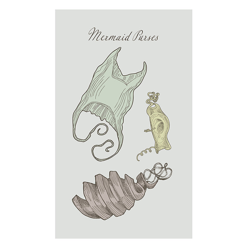 Mermaid Purses Framed Poster with Mat