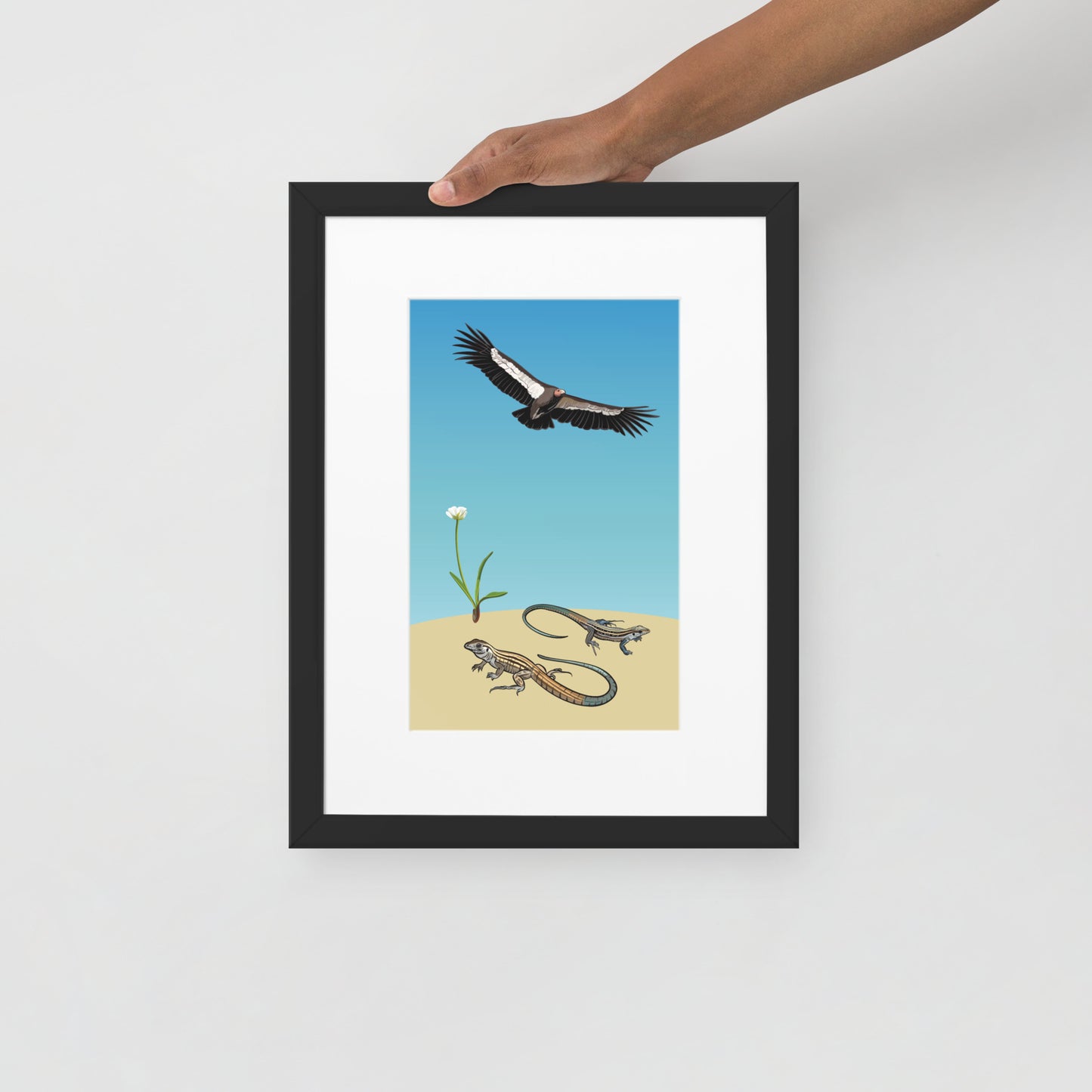 Parthenogenesis Condor & Whiptail Lizard Matte Paper Framed Poster With Mat